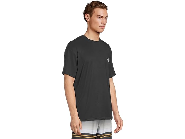 (取寄) クイックシルバー メンズ エブリデイ サーフ ティー ショート スリーブ Quiksilver men Quiksilver Everyday Surf Tee Short Sleeve None