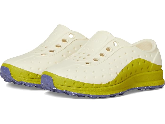 () ͥƥ֥塼 å å ӡ  (ȥɥ顼) Native Shoes Kids kids Robbie Ro...