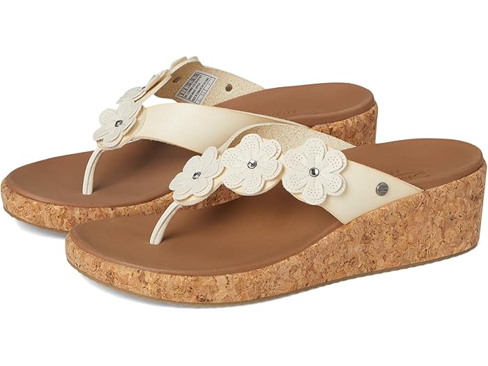() å㡼 ˡ ǥ  եå ӥХ꡼ - 쥢 ֥å SKECHERS women Arch ...