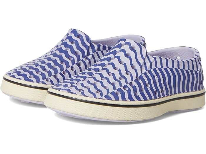 () ͥƥ֥塼 å å ޥ륺 ֥롼 ץ (ȥɥ顼) Native Shoes Kids kids Mi...