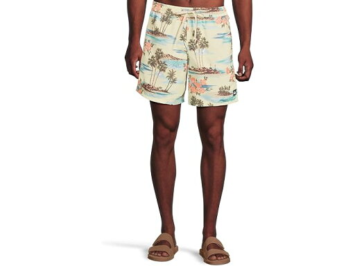 (取寄) クイックシルバー メンズ エブリデイ ミックス 17 Nb ボレー Quiksilver men Everyday Mix 17 Nb Volley Silver Birch (取寄) クイックシルバー メンズ エブリデイ ミックス 17 Nb ボレー Quiksilver men Everyday Mix 17 Nb Volley Silver Birch