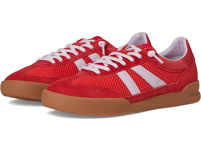 () ƥ֥ޥǥ ǥ ǥ 塼  Steve Madden women Verdict Red Mult...