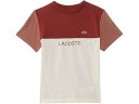 (取寄) ラコステ キッズ ボーイズ カラーブロック T-シャツ (トドラー/リトル キッド/ビッグ キッド) Lacoste Kids boys Colorblock T-Shirt (Toddler/Little Kid/Big Kid) Off White/Maroon/Clay(4)