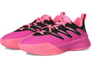 (取寄) アディダス キッズ キッズ デイム サーティファイド 3 バスケットボール シューズ (ビッグ キッド) adidas Kids kids Dame ...