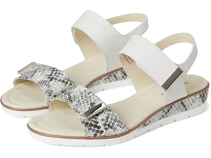 (取寄) デビッドテイト レディース シビック David Tate women Civic White Multi