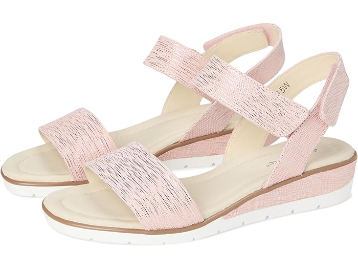 () ǥӥåɥƥ ǥ  David Tate women Scala Pink 1