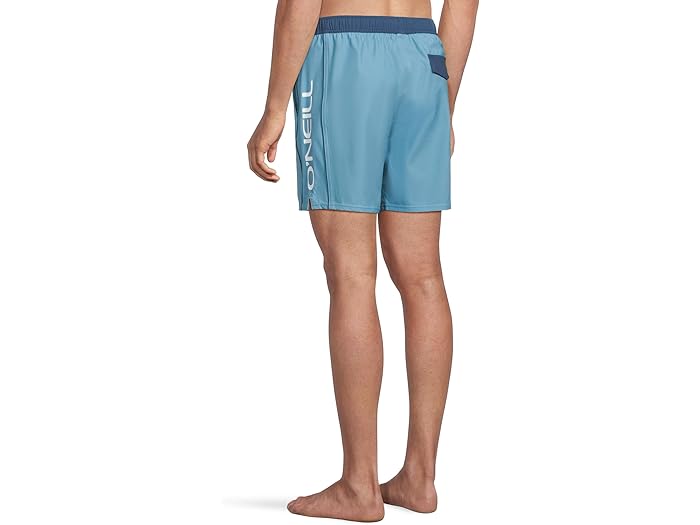 (取寄) オニール メンズ ハモサ サイド パネル EW 17 ボードショーツ O'Neill men Hermosa Side Panel Ew 17 Boardshorts Blue Fade