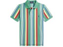 (取寄) ラルフローレン キッズ ボーイズ ストライプド コットン メッシュ ポロ シャツ (トドラー/リトル キッド) Polo Ralph Lauren Kids boys Striped Cotton Mesh Polo Shirt (Toddler/Little Kid) Haven Green Multi(4)