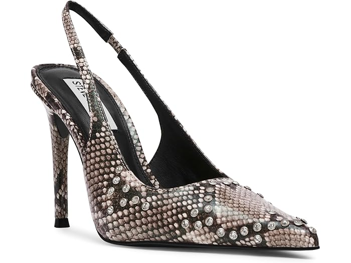 () ƥ֥ޥǥ ǥ Steve Madden women Reyes-R Snake