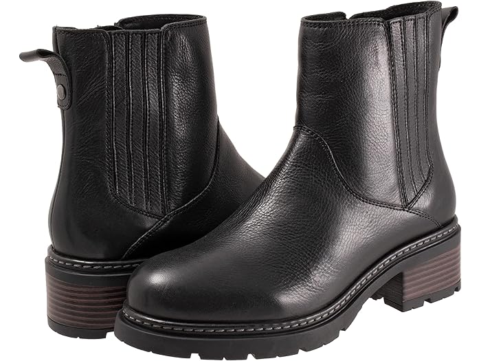 () եȥ ǥ Υ SoftWalk women Novato Black