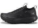 (取寄) アークテリクス レディース サイラン Gtx Arc'teryx women Sylan GTX Black/Black
