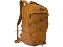 (取寄) ノースフェイス ボレアリス The North Face Borealis Timber Tan/TNF Black(4)