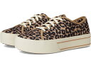 (取寄) アリアット レディース スカイラー Ariat women Skylar Graphic Leopard