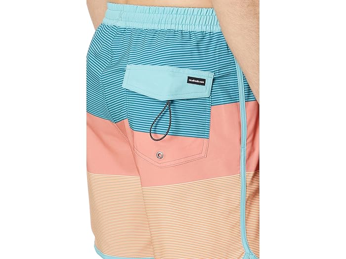 (取寄) クイックシルバー メンズ 17 サーフシルク ティファナ ボレー ショーツ Quiksilver men 17" Surfsilk Tijuana Volley Shorts Canyon Clay
