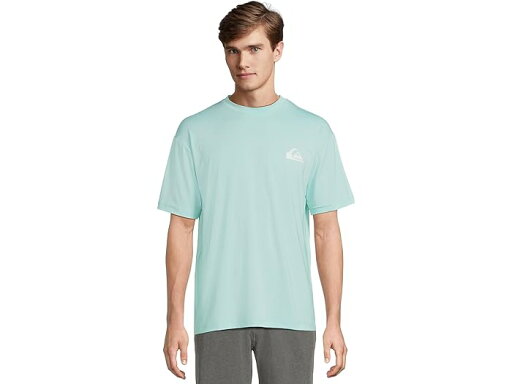 (取寄) クイックシルバー メンズ エブリデイ サーフ ティー ショーツ スリーブ サーフ ティー Quiksilver men Everyday Surf Tee Shorts Sleeve Surf Tee Island Waters (取寄) クイックシルバー メンズ エブリデイ サーフ ティー ショーツ スリーブ サーフ ティー Quiksilver men Everyday Surf Tee Shorts Sleeve Surf Tee Island Waters