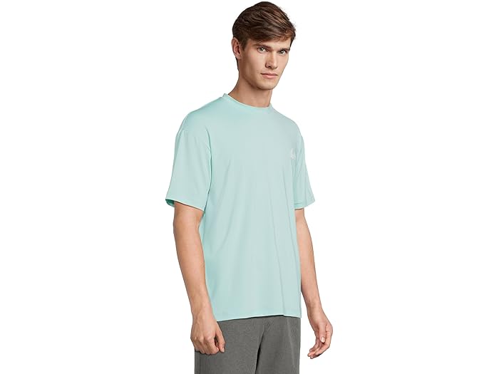 (取寄) クイックシルバー メンズ エブリデイ サーフ ティー ショーツ スリーブ サーフ ティー Quiksilver men Everyday Surf Tee Shorts Sleeve Surf Tee Island Waters