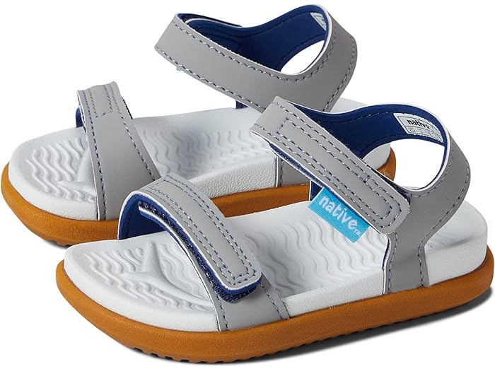 () ͥƥ֥塼 å å 㡼꡼ (ȥɥ顼/ȥ å) Native Shoes Kids kids Cha...