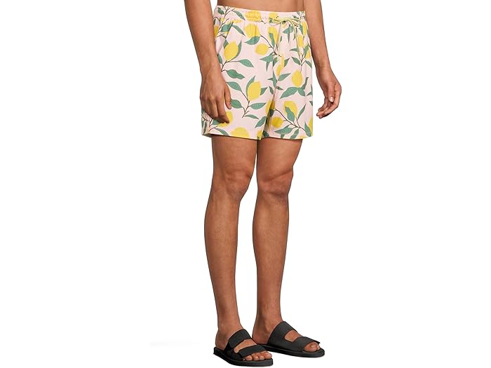 水着 メンズ 男性用 大人用 セパレート 大きいサイズ スイムパンツ 海パン ラッシュガード セット 日焼け防止 UVカット ナイロン素材 ビーチ 海水浴 プール マリンスポーツ アウトドア 春夏