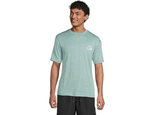(取寄) クイックシルバー メンズ DNA ロゴ サーフ ティー ショーツ スリーブ サーフ ティー Quiksilver men Dna Logo Surf Tee Shorts Sleeve Surf Tee Jade Heather (取寄) クイックシルバー メンズ DNA ロゴ サーフ ティー ショーツ スリーブ サーフ ティー Quiksilver men Dna Logo Surf Tee Shorts Sleeve Surf Tee Jade Heather