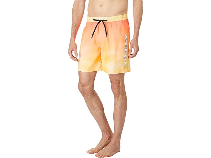(取寄) クイックシルバー メンズ エブリデイ ブリーズ 17 ボレー Quiksilver men Everyday Breeze 17" Volley Copper Tan