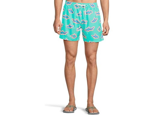 (取寄) チャビーズ メンズ ザ アペック 5.5 (ラインド クラシック スイム Chubbies men The Apex Swimmers 5.5" (Lined Classic Swim Trunk) Mint - Pattern Based (取寄) チャビーズ メンズ ザ アペック 5.5 (ラインド クラシック スイム Chubbies men The Apex Swimmers 5.5" (Lined Classic Swim Trunk) Mint - Pattern Based
