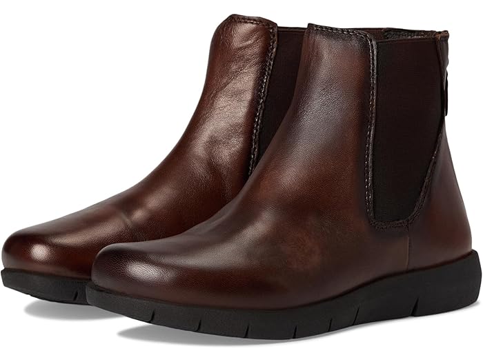 () եȥ ǥ Х SoftWalk women Albany Dark Brown Smooth