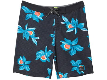 (取寄) クイック シルバー キッズ ボーイズ ハイライト アーチ 16 ボードショーツ (ビッグ キッズ) Quiksilver Kids boys Highlite Arch 16 Boardshorts (Big Kids) Tarmac