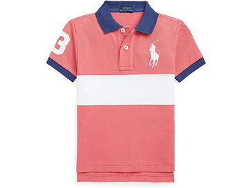 (取寄) ラルフローレン キッズ ボーイズ ビッグ ポニー コットン メッシュ ポロ シャツ (トドラー) Polo Ralph Lauren Kids boys Big Pony Cotton Mesh Polo Shirt (Toddler) Adirondack Berry Multi