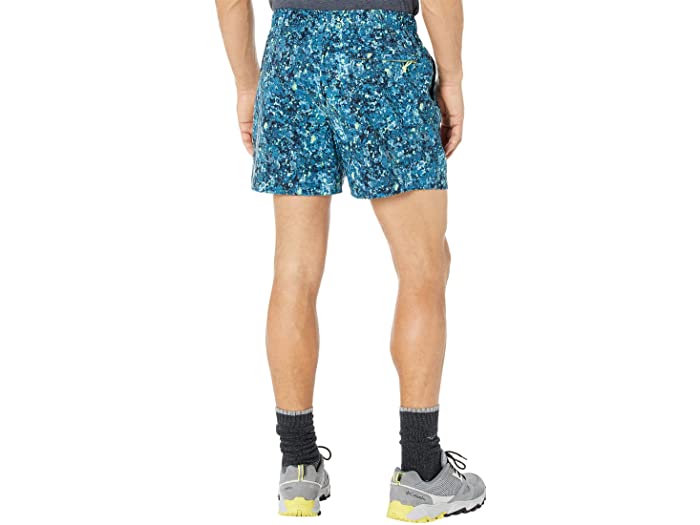 (取寄) ノースフェイス メンズ プリンテッド クラス V 5 プルオン ショーツ The North Face men Printed Class V 5 Pull-On Shorts Beta Blue Lichen Print