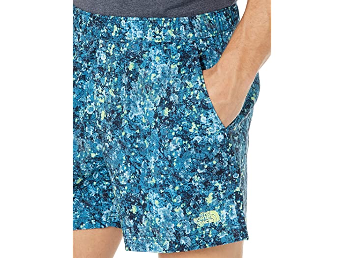 (取寄) ノースフェイス メンズ プリンテッド クラス V 5 プルオン ショーツ The North Face men Printed Class V 5 Pull-On Shorts Beta Blue Lichen Print
