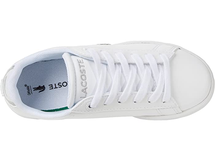 (取寄) ラコステ キッズ キッズ Lacoste Kids kids Carnaby Evo Bl 21 1 SUC (Little Kid) White/White