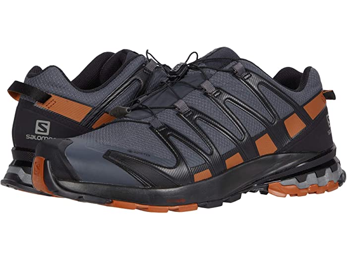 (取寄) サロモン メンズ Salomon men XA Pro 3D V8 GTX Ebony/Caramel Cafe/Black