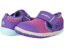 ()  LbY K[Y xA XebvX H20 (gh[) Merrell Kids girls Merrell Kids Bare Steps H20 (Toddler) Purple/Turquoise Leather/Textile