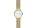 (取寄) スカーゲン レディース シグネチャー スリム ツー-ハンド ウォッチ Skagen women Skagen Signatur Slim Two-Hand Watch SKW2693 Gold Stainless Steel Mesh その1