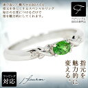 グリーンガーネット リング プラチナ リング Pt900 サイドX ツァボライト リング 1月 誕生石 内側 刻印 アレルギーに優しい 指輪 fourm クリス...