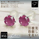 ルビー ピアス 薄型6本爪 5mm K10 ホワイトゴールド 7月 誕生石クリスマス ギフト Xmas レディース メンズ 男性 女性 ラッピング 包装 袋 誕生日 プレゼント ケース 箱 華奢 可愛い おしゃれ 手紙 記念日(4)