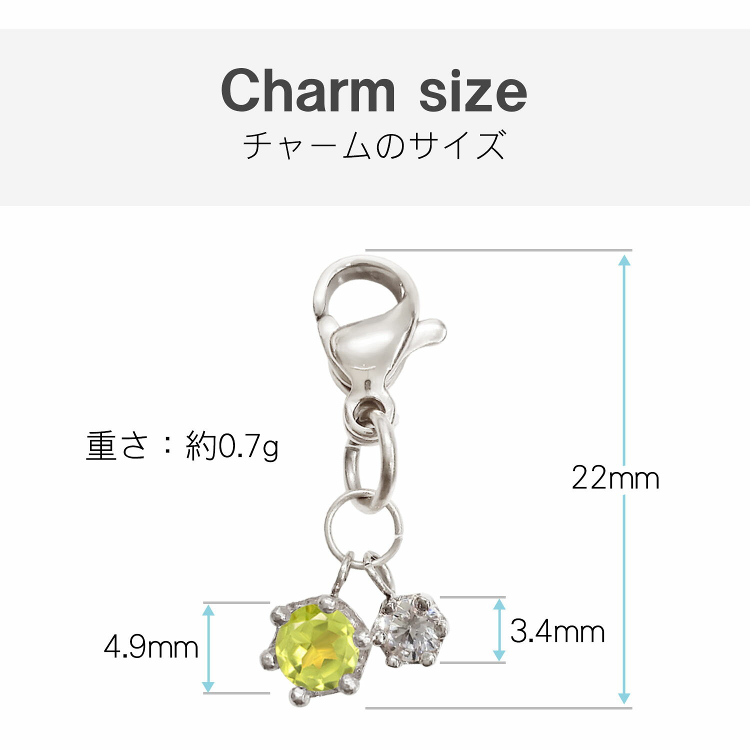 �ޥ��� ���������꡼ �ڥ�ɥå� ����С� �ԥ󥯥������ ���ƥ�쥹 �ޥ��� ���㡼�� �ѡ��� �Хå����㡼�� �����ۥ���� �ץ����ե� ���ȥ�å� ��� ���襤�� �İ��� ������� �������㡼�� �ߥ˥��㡼��