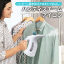 X`[AC nfBX`[ ߗރX`[}[ VL΂ AC nK[Ɋ|܂ V 1l炵 steam-iron