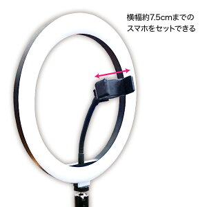 動画ライトスタンド