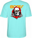 POWELL PERALTA pEG RIPPER bp[ m]L{[Y TVc TEAL ICE@ GhO[