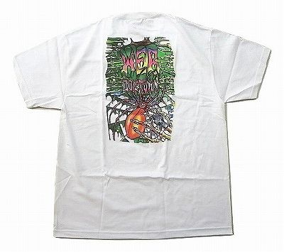 DOGTOWN ドッグタウン WEB 蜘蛛の巣 Tシャツ 白 ホワイトのサムネイル