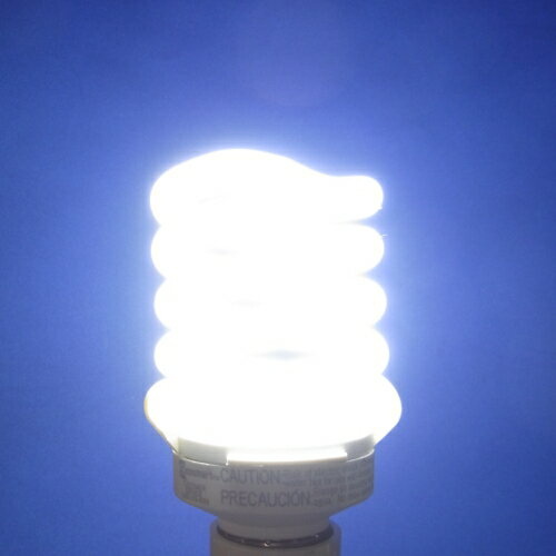 ecosmart純正 昼光色 100ワットの明るさをわずか23ワット（実測値）で実現する 100W形(1600lm) E26 1年保証品 LEDを凌ぐ省エネ 電球型蛍光灯 CFL 卸価格
