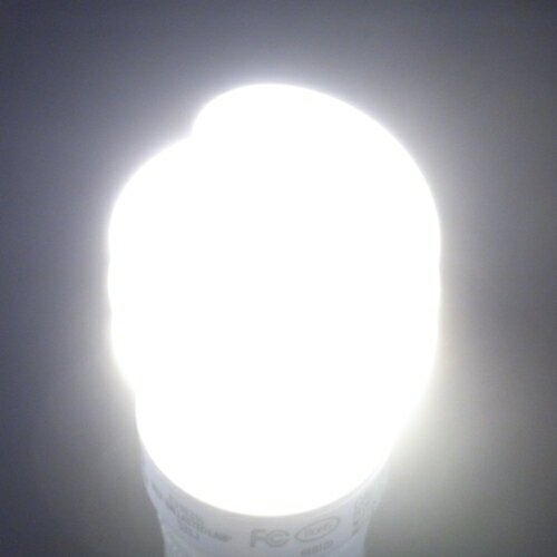 LEDを凌ぐ省エネ電球 60ワットの明る