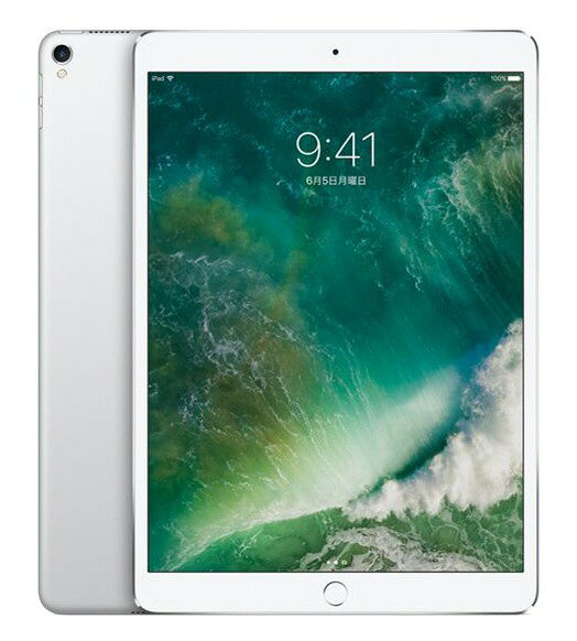ジャンク品】iPad Pro (11インチ) 第2世代 512GB 【公式通販】