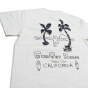 Tシャツ うさぎ EAXER ラビットビーチ 男女兼用 半袖Tシャツ KT-19003 サーフ ウサギ柄
