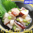 たこ わさび 500g おつまみ 酒の肴に! 【同梱にオススメ】 珍味 お酒のお供
