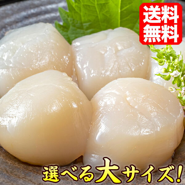 ホタテ【数量限定】【訳あり】 北海道産 割れ ホタテ貝柱 1kg 送料無料 お刺身 同梱 オススメ ほたて 北海道 海産物 ワケ あり 帆立 ホタテ 北海道 リピート購入 flake ポイント消化