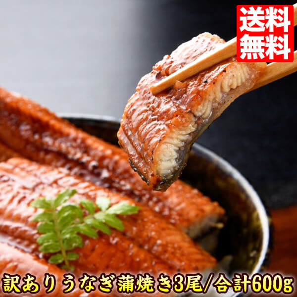 うなぎ 蒲焼き 国内産 送料無料 訳あり 3尾/合計約600g 贈答ギフト 通販 ウナギ 国産 鰻 うなぎ蒲焼 プレゼント 有頭/真空包装 国産うなぎ unagi600g 贈答 ギフト プレゼント 父の日 ギフト