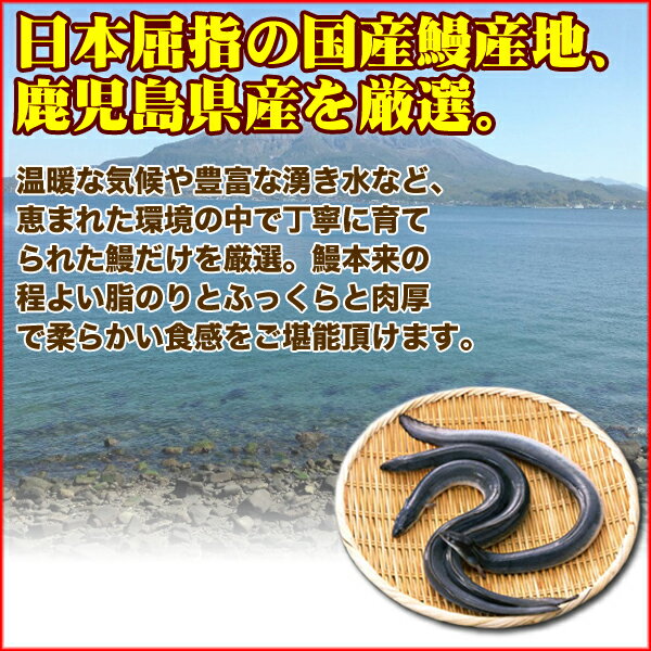 国産うなぎ うなぎ本格 鹿児島県産 うなぎ 蒲焼 5尾/合計1kg 送料無料(食品 鰻 ウナギ 蒲焼 国産 ひつまぶし ギフト 人気グルメ プレゼント 贈答 有頭/真空包装 食品 土用の丑の日 父の日 食べ物 母の日 39ショップ 2020 unagi5bi お取り寄せグルメ