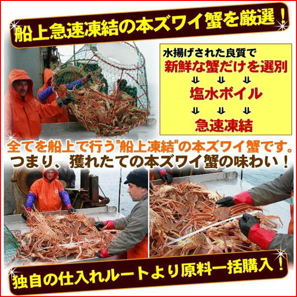 かに カニ【送料無料】 5kg ずわいがに 訳あり ズワイガニ かに鍋 蟹 「ズワイガニ5kg」 食品 海産物 kani 当店人気 カニ鍋 かにしゃぶ 美味しい 送料無料市場 冬グルメ 冬の味覚 kani zuwai5 39ショップ かに